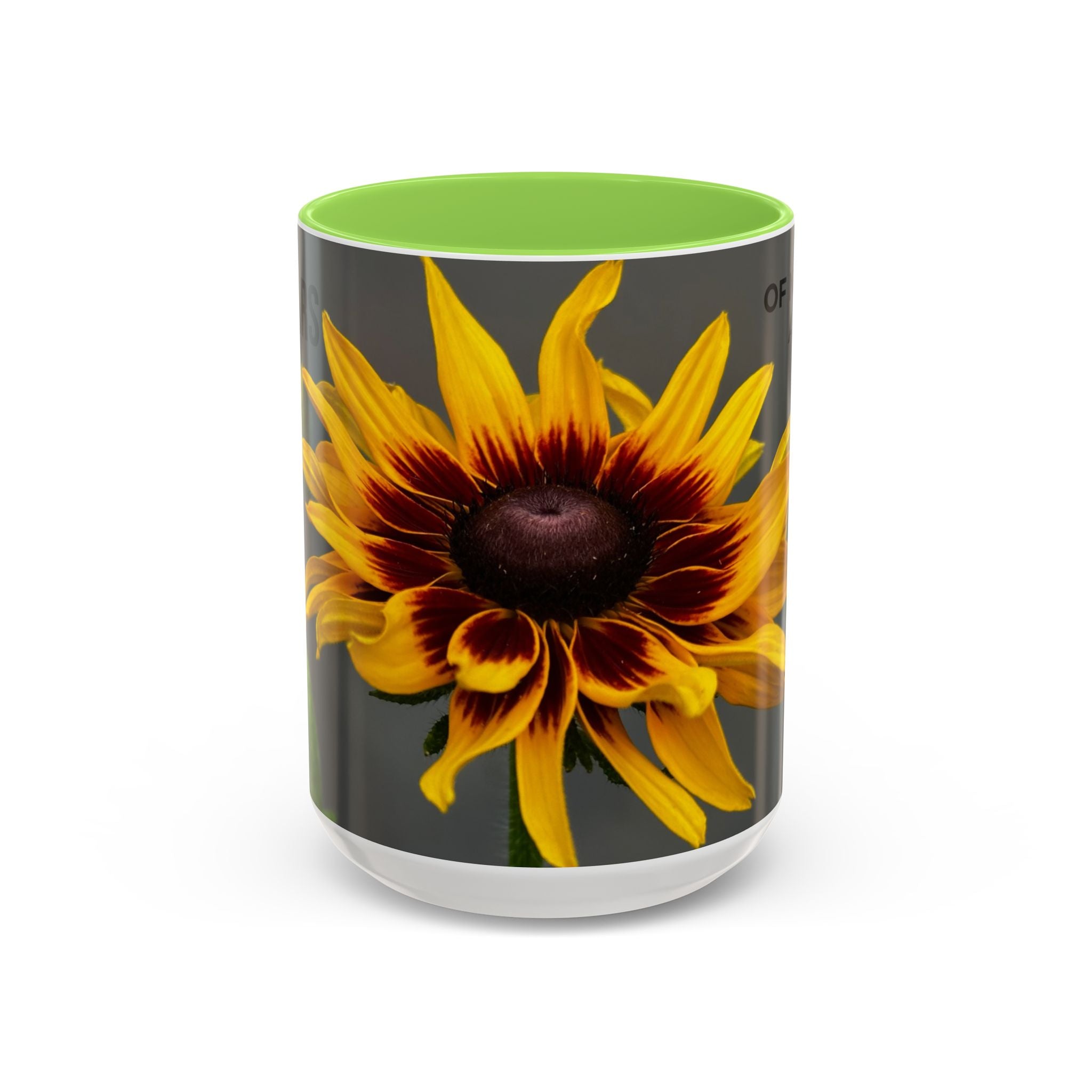 Black-Eyed Susan 'Not Giving a Damn' Mug — Colorful Floral Coffee Cup (11oz & 15oz)
