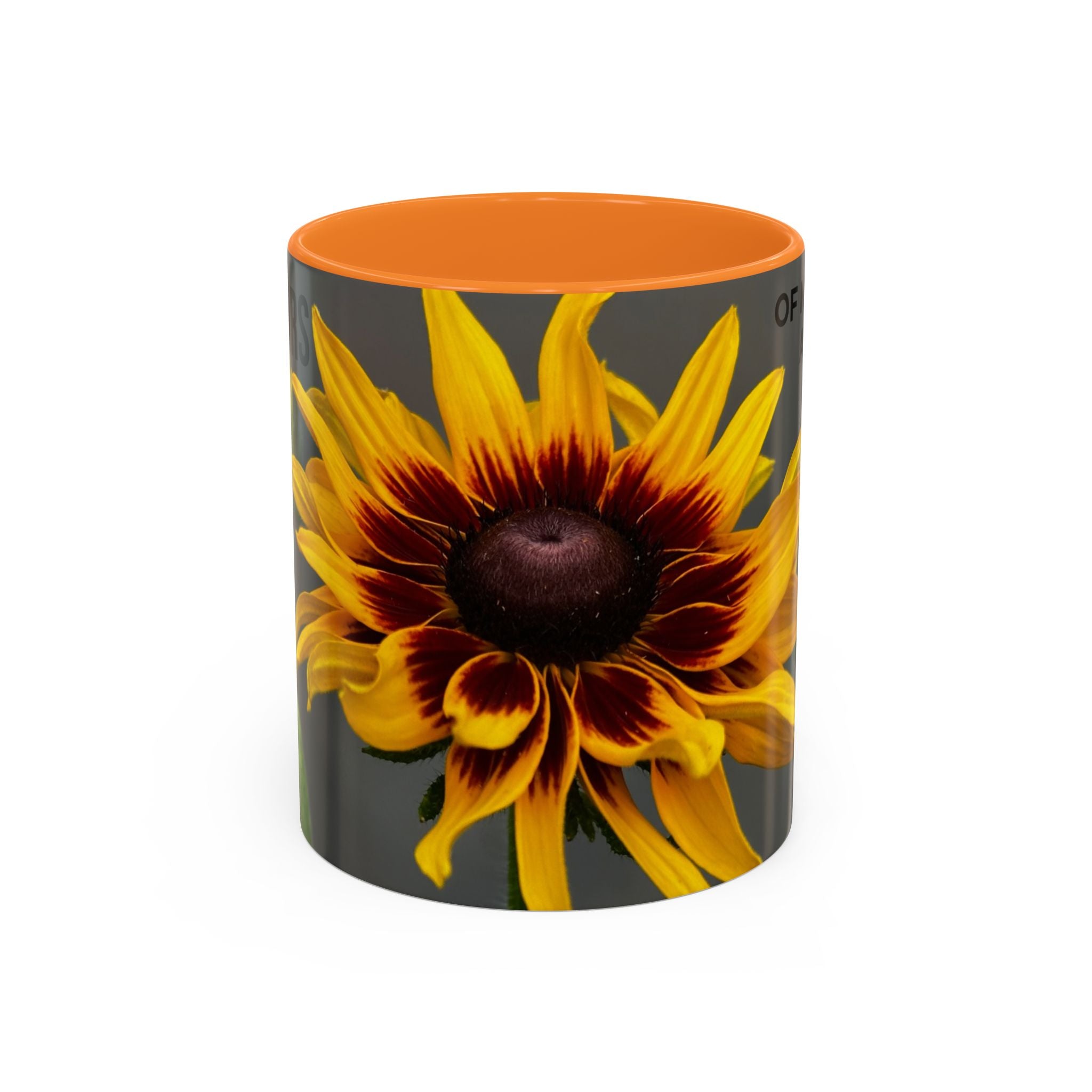 Black-Eyed Susan 'Not Giving a Damn' Mug — Colorful Floral Coffee Cup (11oz & 15oz)