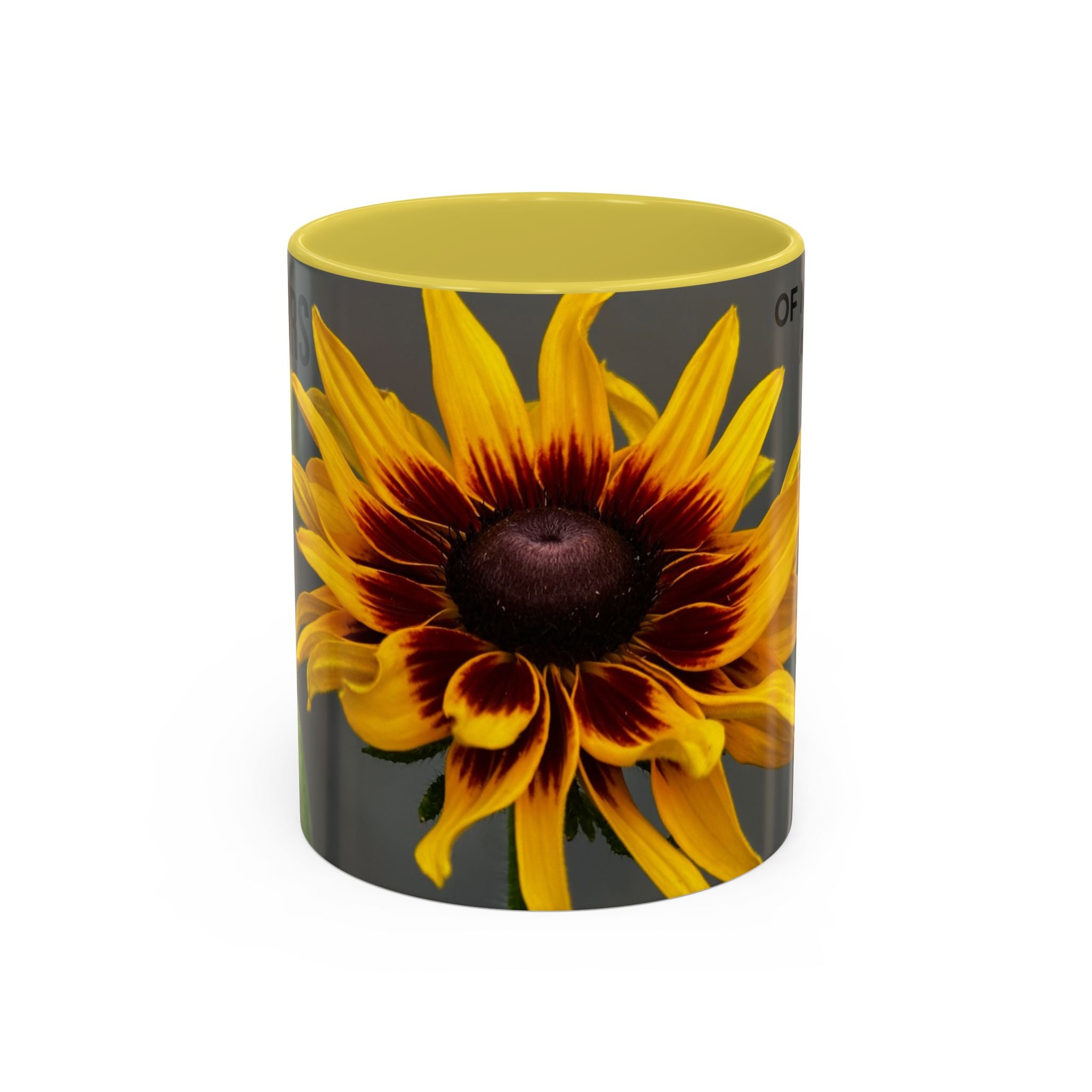 Black-Eyed Susan 'Not Giving a Damn' Mug — Colorful Floral Coffee Cup (11oz & 15oz)