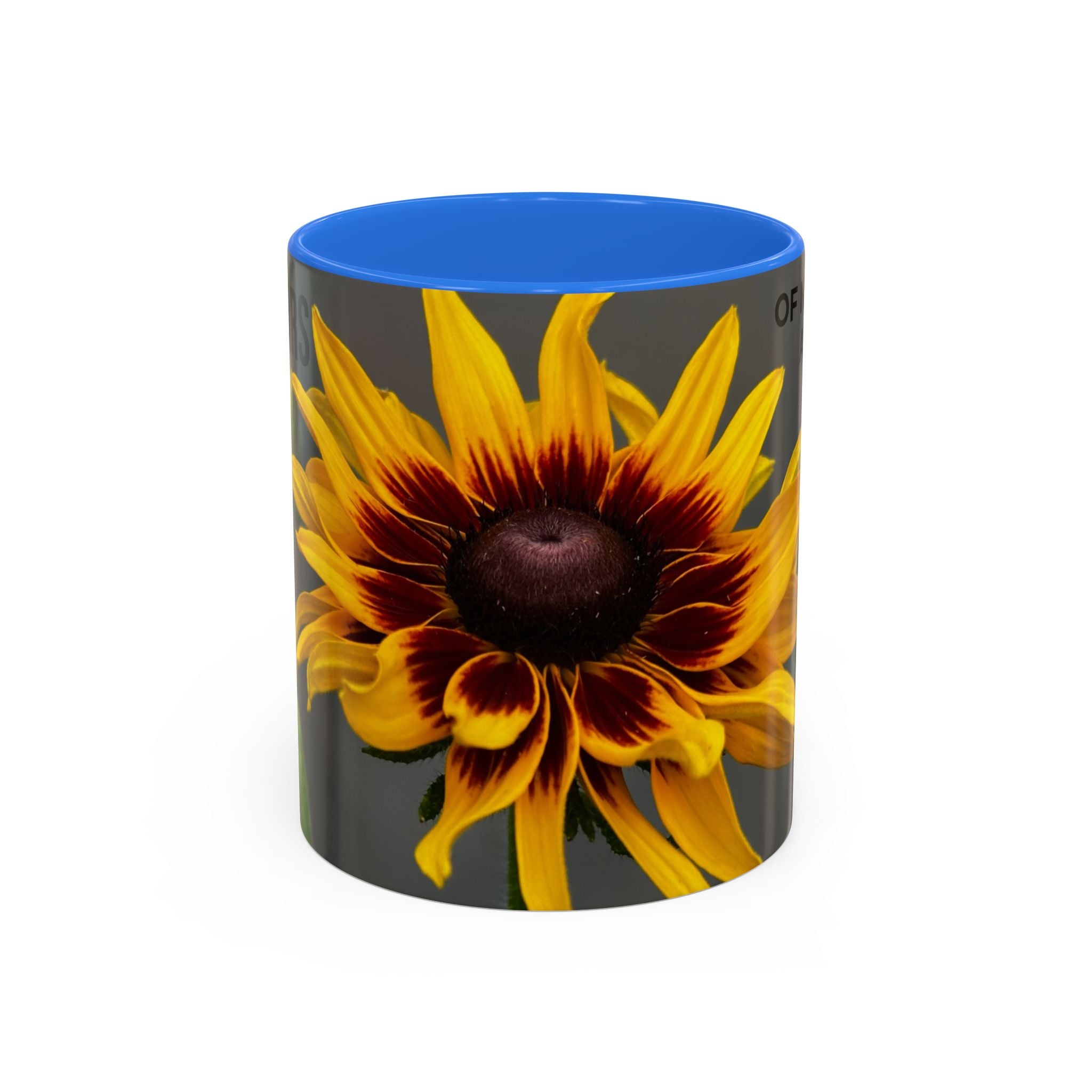 Black-Eyed Susan 'Not Giving a Damn' Mug — Colorful Floral Coffee Cup (11oz & 15oz)