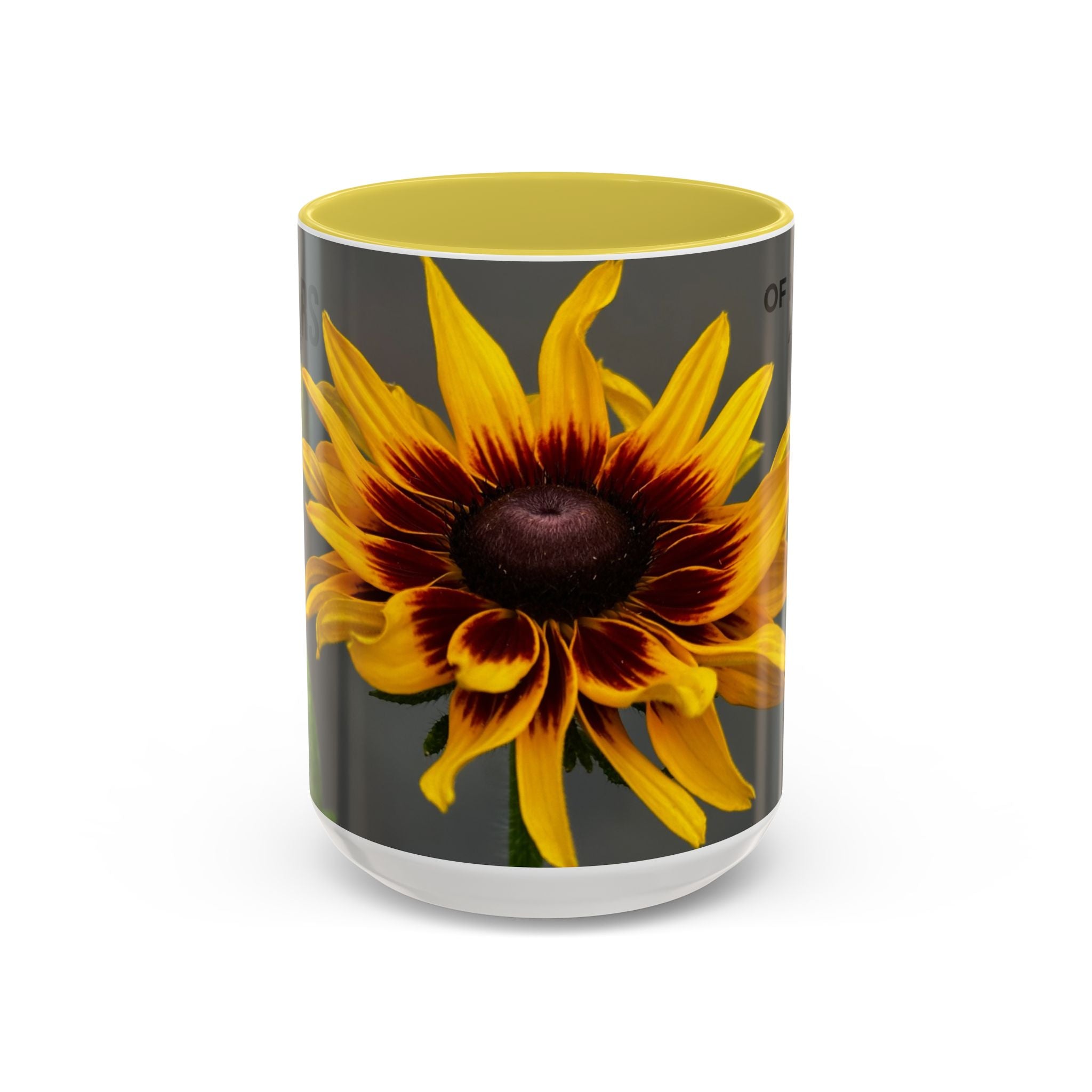 Black-Eyed Susan 'Not Giving a Damn' Mug — Colorful Floral Coffee Cup (11oz & 15oz)