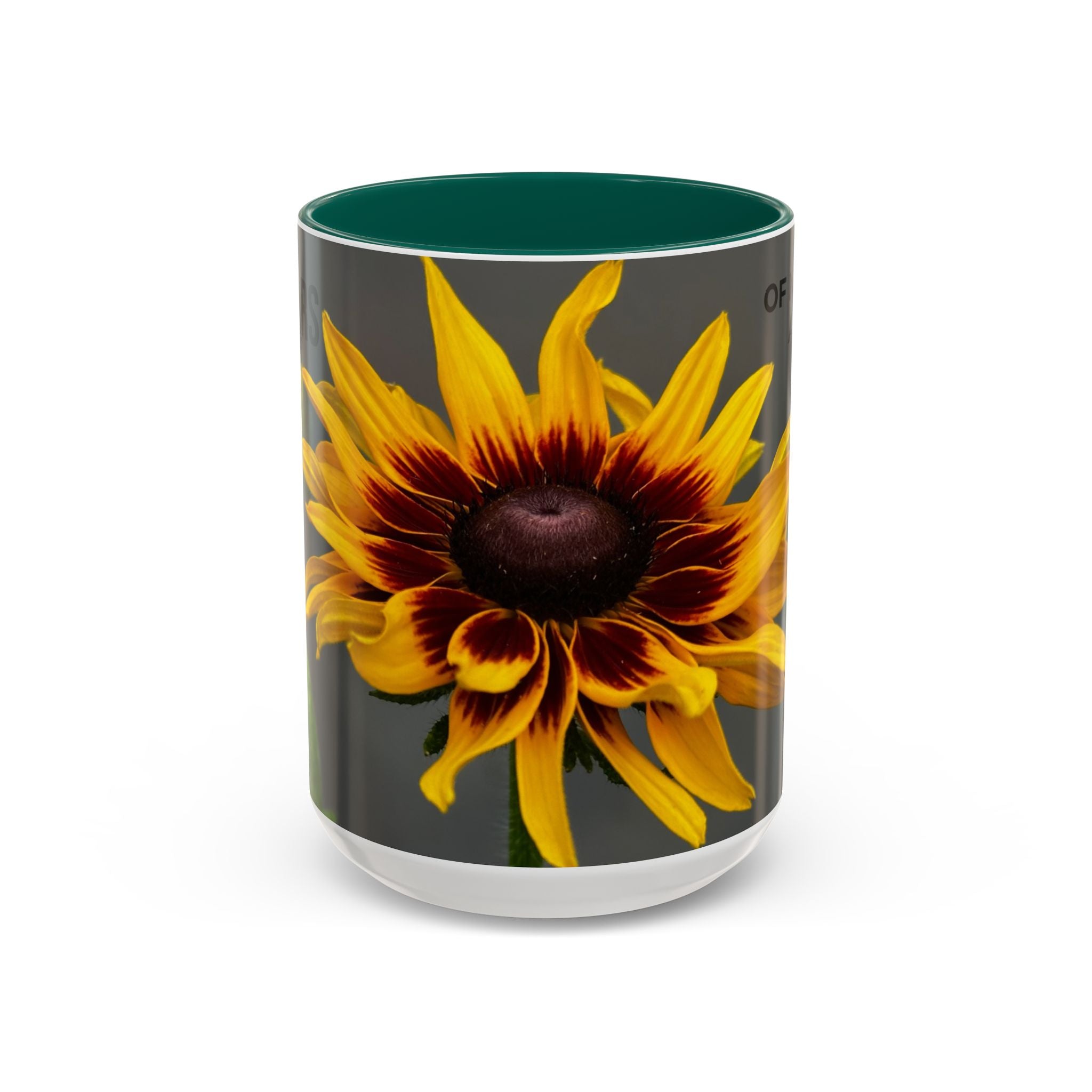 Black-Eyed Susan 'Not Giving a Damn' Mug — Colorful Floral Coffee Cup (11oz & 15oz)