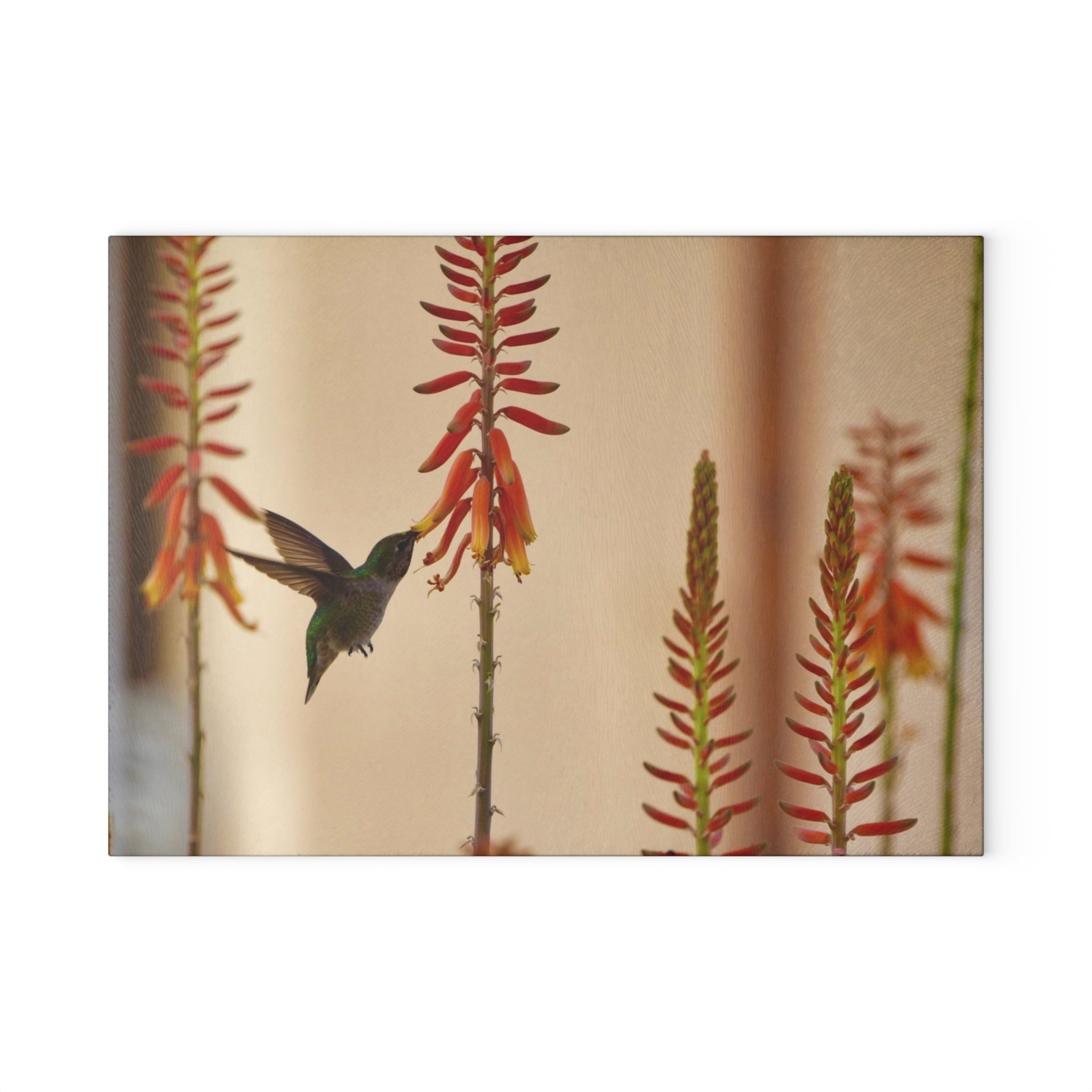 Glass Cutting Board — Hummingbird & Aloe Flowers Kitchen Cutting Board