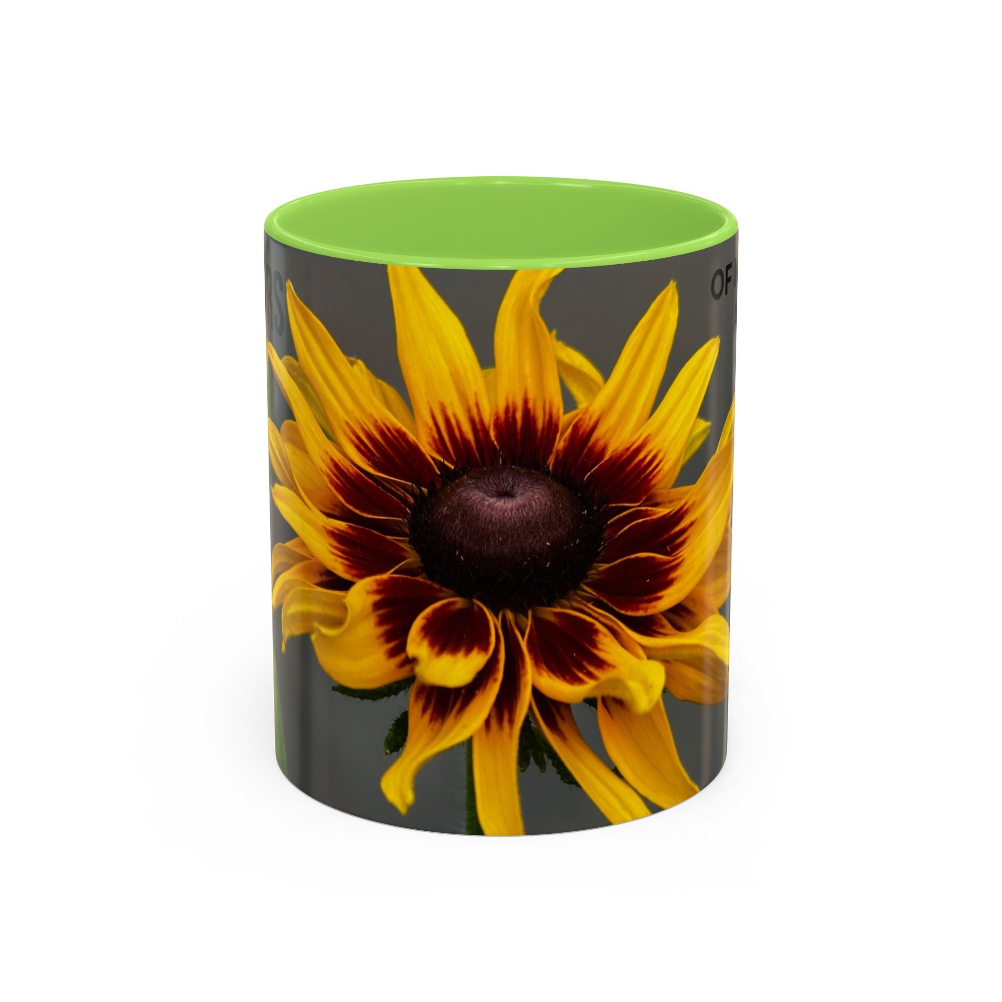 Black-Eyed Susan 'Not Giving a Damn' Mug — Colorful Floral Coffee Cup (11oz & 15oz)