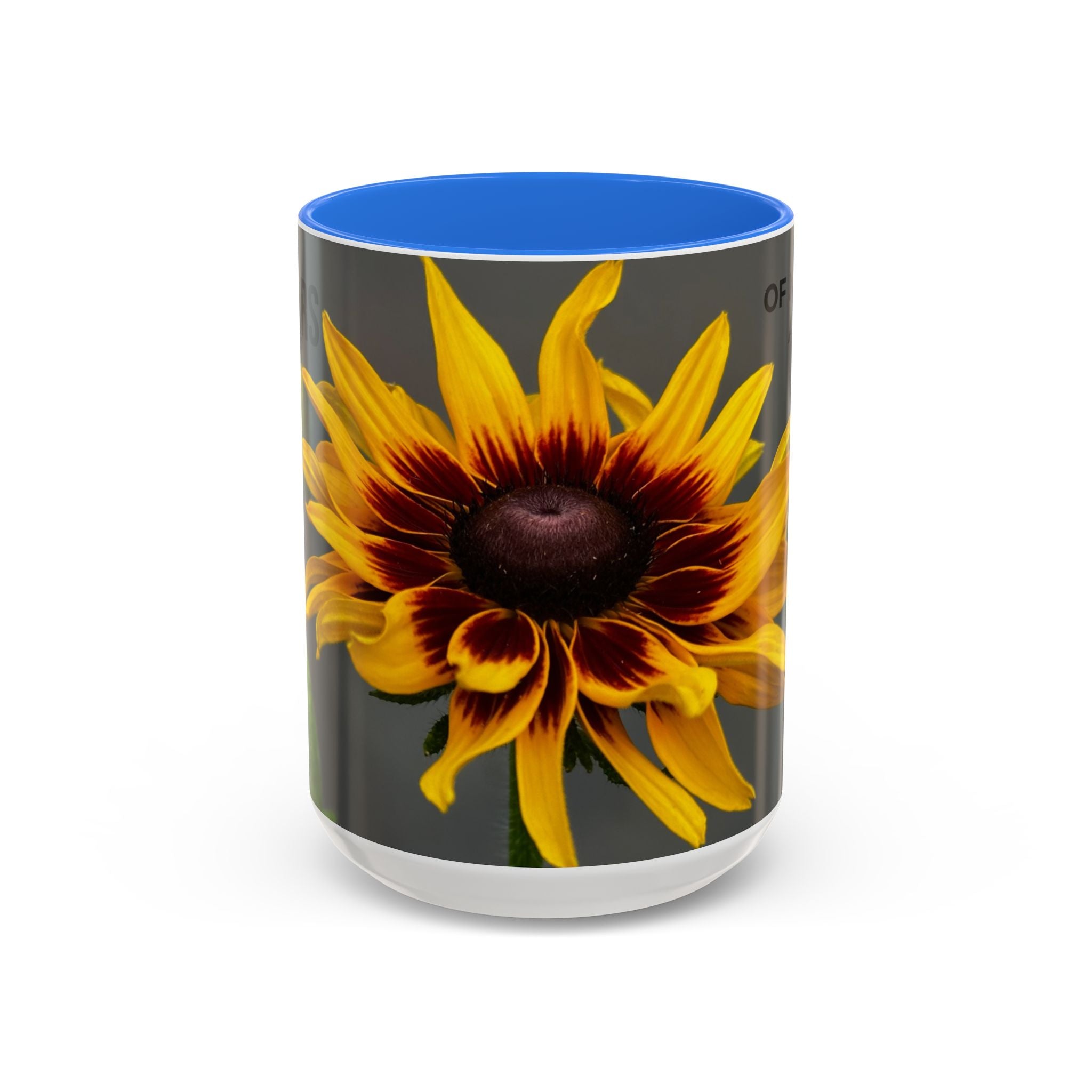 Black-Eyed Susan 'Not Giving a Damn' Mug — Colorful Floral Coffee Cup (11oz & 15oz)