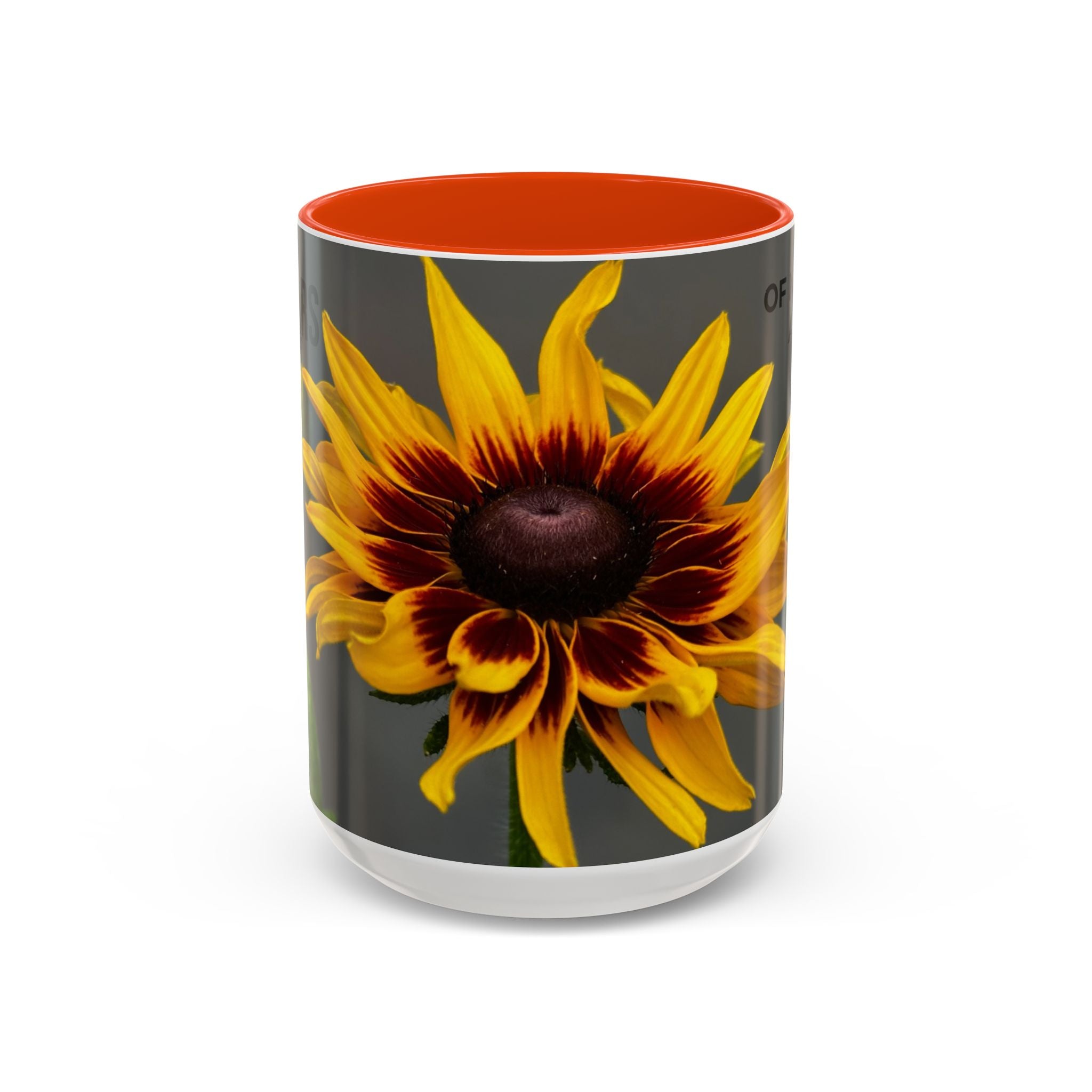 Black-Eyed Susan 'Not Giving a Damn' Mug — Colorful Floral Coffee Cup (11oz & 15oz)